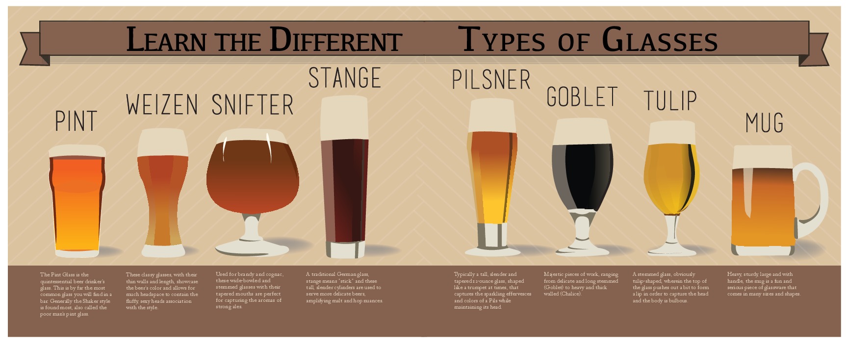 Types of Beer Glasses 101